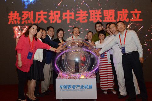 资本入养老产业 地产商拟与险企分羹